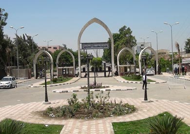 جامعة المنيا